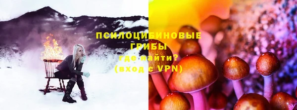 хмурый Козельск