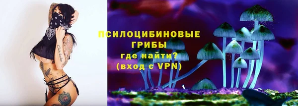 МДМА Козловка