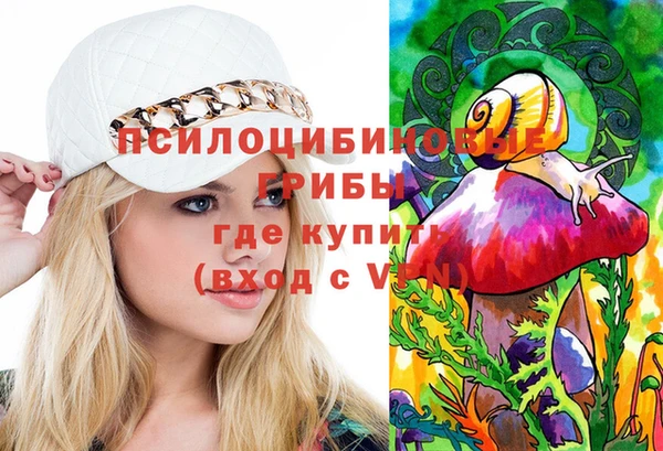 первитин Кодинск