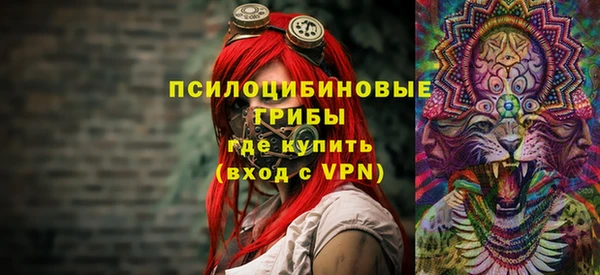 МДМА Козловка