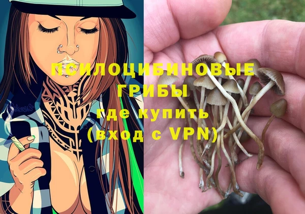 МДМА Козловка