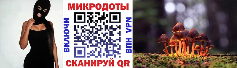 Псилоцибиновые грибы Cubensis  купить закладку  Болохово 